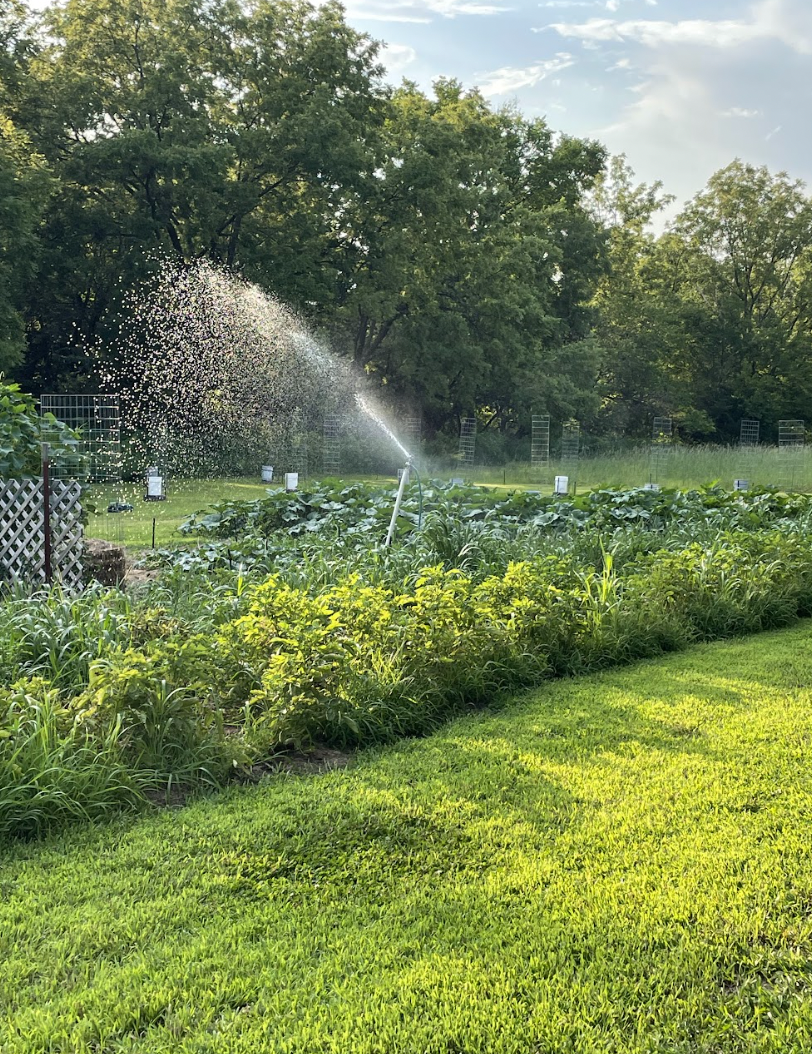 Garden our Dream life