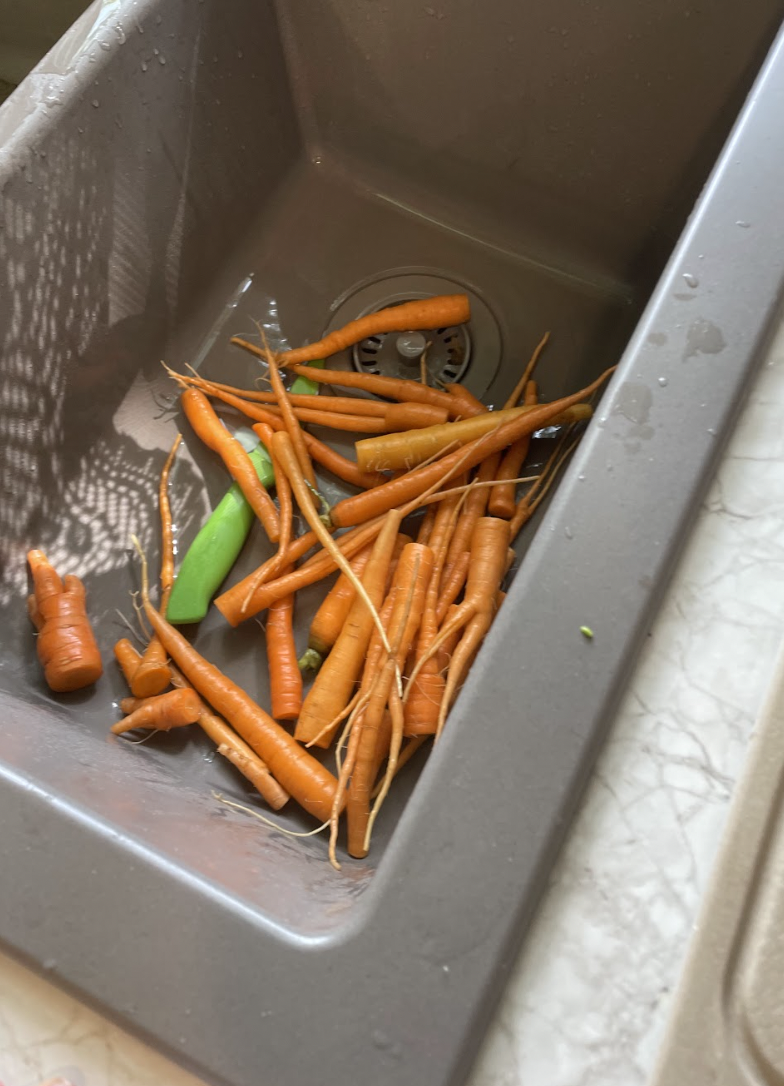 Crunchy Carrots Small but Great for Savory Soups